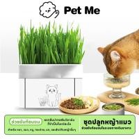 ราคา petme หญ้าแมว ชุดปลูกข้าวสาลี ชุดหญ้าออร์แกนิคพร้อมปลูก สำหรับ หมา แมว และสัตว์กินหญ้าอื่นๆ (24724360598)