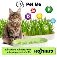ราคา petme ชุดปลูกหญ้าแมว หญ้าแมว เมล็ดข้าวสาลี ถาดเพาะต้นอ่อน ชุดปลูกต้นสาลี ข้าวบาร์เล่ย์ (27255248802)