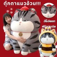 ราคา ตุ๊กตาแมวอ้วน ตุ๊กตาแมว My Royal Wan ตุ๊กตาตัวใหญ่ (13589024848)