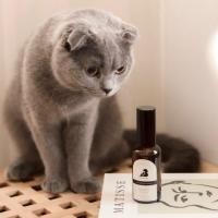 ราคา สเปรย์ปรับอากาศสำหรับแมวและคน กลิ่น cat bath โทนเปรี้ยวอมหวานแบบธรรมชาติจากดอกไม้เหมือนเข้า spa (29608150067)