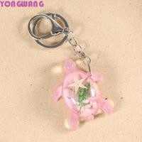 ราคา YONGWANG66HR พวงกุญแจเต่าน้อย การ์ตูนสีสันเต่าส่องสว่างแหวนเต่า ตลก Glow in the dark สไตล์เกาหลีปลาดาวสัตว์กระเป๋าจี้วันเกิด (44901782205)