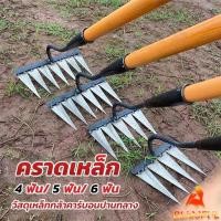 ราคา B F ฟันคราดหญ้า คราดเหล็ก คราดหญ้า คราดทำสวน มีดจอบ คาดหญ้า คาดหญ้าเหล็ก 6 ฟัน 5 ฟัน 4 ฟัน hoe (24559503686)