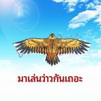 ราคา Yuki ว่าว นกอินทรีย์ ว่าวไล่นก ว่าวไล่ ศัตรูพืชว่าวเด็ก อุปกรณ์ว่าว kite (21436227295)