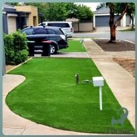 ราคา Jnv หญ้าเทียม แผ่นหญ้าเทียมปูพื้น หญ้าปูสนาม อุปกรณ์ตกแต่งสวน Turf Grass (43068460340)