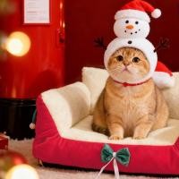 ราคา คริสต์มาสสัตว์เลี้ยงรังเสื่อแมวรังสุนัขสุนัขบ้านแมวกรงสุนัขบ้านอุปกรณ์สัตว์เลี้ยงคริสต์มาส (45100878467)
