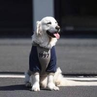 ราคา Ready Stock Large Dog Clothes Autumn and Winter Contrast Color Golden Retriever Sweater Anti Lint Labrador Border Collie Fashion Brand Cyber Celebrity Dog Clothes r3MR (57452562099)