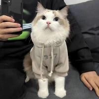 ราคา Ready Stock Pet Cat Cat Clothes Autumn and Winter Clothes Anti Fur Warm Cute Kitten Blue Cat British Shorthair Hooded Fleece Lined Sweater rYun (41522044741)