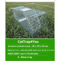 ราคา CatTrap4You กรงดักแมว ไซส์ XL ส เหล็กเส้น ชุบกาวาไนท์กันสนิม พับได้ จับแมวจรจัด จับแมว ดักจับแมว ดักจับแมวจร (23035293233)