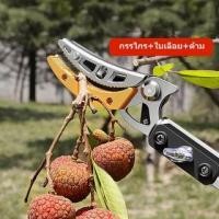 ราคา กรรไกรตัดหนีบ กรรไกรตัดหนีบผลไม้ด้ามยาว กรรไกรยาว 3 เมตร เมื่อสไลด์เก็บ ยาว1 8 เมตร แถมฟรีใบเลื่ยสำหรับตัดกิ่งไม้ใหญ่ (21775456355)