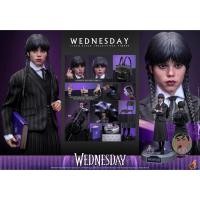 ราคา Hot Toys TMS135 Wednesday 1 6th scale Wednesday Collectible Figure (48800199587)