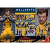 ราคา Hot Toys MMS754 Deadpool and Wolverine Wolverine Deluxe Edition 1 6 Scale Collectible Figure (44020557982)