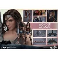 ราคา Hot Toys MMS359 Batman VS Superman DOJ Wonder Woman 1 6 Scale Collectible Figure (29638151063)