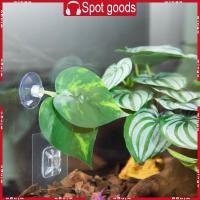 ราคา WIN Betta Fish Leaf Pad Double Leaf Hammock Reserve เตียงปลอดภัยสภาพแวดล้อม Betta วางไข่เตียง Aquariums ภูมิทัศน์ Accessor (49101166229)