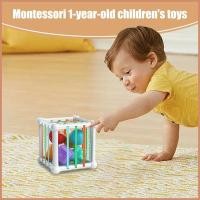 ราคา Shape Sorter Sensory Blocks สําหรับการเรียนรู้ Fine Motor Skills ปรับปรุงการพัฒนาประสานมือตา ayendsth (41121651142)