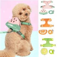 ราคา 3 ชิ้นชุดสายจูงแมวสายรัดสายจูงสุนัขสําหรับ Shih Tzu สุนัข Essentials กระเป๋าเป้สะพายหลังสัตว์เลี้ยงลูกสุนัขอุปกรณ์เสริม (29780501619)