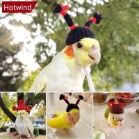 ราคา Hotwind สัตว์เลี้ยงหนูแฮมสเตอร์ Budgerigar Cockatiel Peony Parrot นกหมวกขนสัตว์โครเชต์ถักหมวกนกแก้วสัตว์เล็ก Mini หมวกนกของเล่น N8R4 (27250024089)