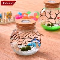 ราคา HOTWIND ขวดแก้วทรงกลม 11 ซม Terrarium พร้อมไฟ LED สีสันสดใส Cork (41476186056)