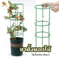 ราคา Home P Shop ขาตั้งดอกไม้ กรงพืช โครงเถาวัลย์ เสามะเขือเทศ ซุ้มไม้ โครงปลูก อุปกรณ์สำหรับพืชไม้เลื้อย จัดทรงต้นไม้ (28463778899)