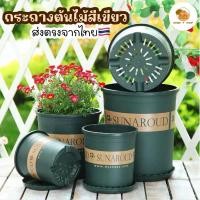 ราคา Home P Shop กระถางต้นไม้พลาสติกสีเขียว ระบายน้ำดี กระถางดอกไม้ญี่ปุ่นสีเขียว ส่งจากไทยไม่ต้องรอของ (27008290435)