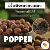 ราคา Home P Shop เม็ดดินเผา popper ดินเผา มวลเบา 1 ลิตร ป๊อปเปอร์ popper หินโรยหน้า โรยหน้ากระถาง (27913851887)