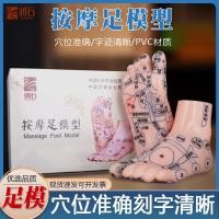 ราคา ให้ความชุ่มชื้นเท้ารุ่นเท้าฝังเข็มจุดรุ่นนวดฝังเข็มเท้าเท้าเท้าเท้าเท้าเท้าเล็บเท้าการดูแลสุขภาพฝังเข็มในครัวเรือน (48551885860)