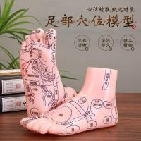 ราคา นวดเท้ารุ่นเท้าสะท้อนพื้นที่จุดฝังเข็มประเภทนวดเท้าแม่พิมพ์เท้ารุ่นแพทย์แผนจีนโบราณการสอนเท้าบําบัดอ้างอิง KNPR (57151859667)