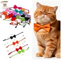 ราคา สัตว์เลี้ยงสุนัขแมวสร้อยคอสายปรับสําหรับปลอกคอแมวสุนัขอุปกรณ์เสริมสัตว์เลี้ยงสุนัขโบว์ผูกลูกสุนัขผูกโบว์สุนัขอุปกรณ์สัตว์เลี้ (41972354901)