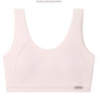 ราคา Sabina Sbn Sport Level 1 เสื้อชั้นใน ไร้โครง รหัส SBB23010SL สีเทาอ่อน (55402570380)