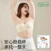 ราคา Sabina เสื้อชั้นใน มีโครง Body Bra เกาะอก Perfect Bra รหัส SBD8110RD สีแดงเข้ม (44552208372)