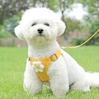 ราคา ส่งฟรี สายจูงรัดอกสัตว์เลี้ยง เสื้อหมา เสื้อสายรัดอกแมว สายจูงหมา (43118142471)