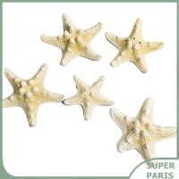 ราคา superparis Homairate ชุดตกแต่งปลาดาว ปลาดาวอเนกประสงค์ อุปกรณ์ตกแต่งตู้ปลา 5 ชิ้น สวยงามสำหรับกรอบรูป DIY ประเภท 1 5 7 5ซม 2 3in 5 (28493510050)