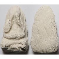 ราคา 3370 7 พระปิดตา วัดบางพัง จ นนทบุรี เนื้อผงพุทธคุณ มวลสารมาก เนื้อแห้ง เนื้อดี เนื้อเหมือนวัดระฆัง (26036136947)