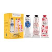 ราคา L OCCITANE LOCCITANE Best Of Provence Set 30ml x 6pcs (55102221248)