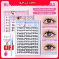 ราคา จัดส่งภายใน 2 3 วัน ขนตาปลอมแบบมีกาวในตัว BQI 100 120 Cluster ใหม่ นุ่มกว่า C Curl 10 12 มม ไม่ต้องใช้กาว ใช้ซ้ำได้ พร้อมหวีแหนบ ชุดของขวัญที่ดัดขนตา (55152018235)