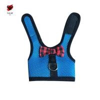 ราคา สายรัดนุ่มตาข่ายสัตว์เลี้ยงพร้อมสายจูงเสื้อกั๊กสัตว์เล็กสําหรับกระต่ายหนูแฮมสเตอร์กระต่ายกระต่ายกระต่าย (51502184327)