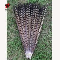 ราคา 10 รากที่สวยงามไก่ฟ้าขนนกหลากสีงานฝีมือเครื่องประดับ 30 35 ซม (54401919479)