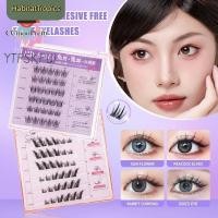 ราคา จัดส่งในพื้นที่ ปราศจากกาว ขนตาปลอมแบบช่อเดียวธรรมชาติปราศจากกาว สไตล์ไอดอลเกาหลี มังงะ บาร์บี้ ขนตาปลอมแบบมีกาวในตัว (56952572121)