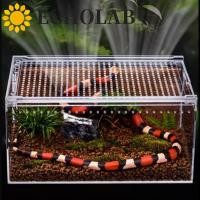 ราคา เสียงสะท้อน กล่องเพาะพันธุ์สัตว์เลื้อยคลาน อะคริลิคโปร่งใส Lizard Terrarium Habitat สัตว์เลื้อยคลานฟักไข่ Terrariums ป้องกันหลบหนีหลุม Lizard Feeding Cage (57902287991)