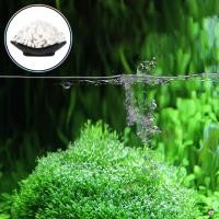 ราคา เครื่องกําจัดสาหร่ายแท็บเล็ตตู้ปลาพืชที่เป็นมิตรตู้ปลาทําความสะอาดตู้ปลาปลอดภัยสําหรับพืชปลาและระบบนิเวศทางน้ํา (55550587769)