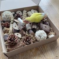 ราคา Foraging Parrot Shredding ของเล่นกล่อง Interactive หวาย Conure เคี้ยวของเล่นสําหรับ Cockatiel Lovebird Parakeet (49051328916)