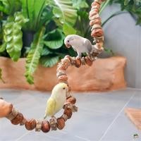 ราคา ธรรมชาติ Prunus ไม้ Parrot Chew ของเล่น Nut String หลายขนาดสําหรับนกขนาดเล็กขนาดกลางเช่น Cockatiel Conure Budgie (46202181449)