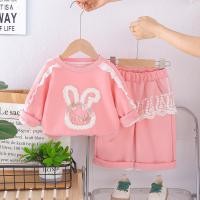 ราคา ฤดูใบไม้ร่วงเด็กสาวเสื้อผ้าชุดเด็กลูกไม้สไตล์มุกลูกไม้กระต่ายเสื้อ กางเกง2ชิ้นเสื้อผ้าแฟชั่นชุดวอร์ม (27241536103)