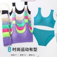 ราคา Happy Panty Zone Bikini By Sabina กางเกงชั้นในแขนสั้น เอวสีทึบ HUZ24038 (40577184003)