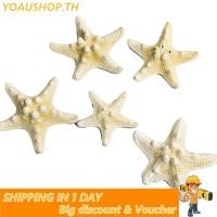 ราคา Yoaushop Yoaushop Homairate ชุดตกแต่งปลาดาวปลาดาวอเนกประสงค์อุปกรณ์ตกแต่งตู้ปลา 5 ชิ้นสวยงามสำหรับกรอบรูป DIY ประเภท 1 5 7 5 ซม 2 3in 5 (49800859902)
