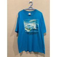 ราคา เสื้อวินเทจ งานusa อก44 46 ค้าบบบ (24469668170)