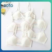 ราคา เสื้อชั้นในเด็ก 8 16 ปี สำหรับวัยรุ่น เสื้อชั้นในฝึกหัดเด็กผู้หญิง เสื้อชั้นในผ้าฝ้ายแท้ ระบายอากาศได้ดี สวมใส่สบาย เสื้อกล้ามนักเรียนสำหรับผู้หญิง (53152838029)