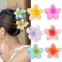 ราคา กิ๊บติดผม ลายดอกไม้ สีสันสดใส สไตล์ฮาวาย (23056839129)