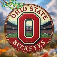 ราคา HELLOYOUNG Ohio State Buckeyes โลหะตกแต่งผนังสําหรับห้องนั่งเล่นบาร์ Garden Man Cave Alumni ของขวัญ (50654041313)