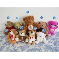 ราคา ตุ๊กตาหมี รวมมิตรเพื่อนรักต่างยี่ห้อ (17789261907)