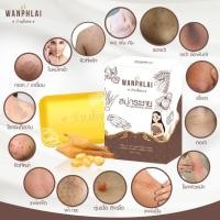 ราคา สบู่กระชายว่านไพล กำจัดติ่งเนื้อ ฝ้ากระ คอดำ ใบหน้าคล้ำ แก้ปัญหา กลาก เกลื้อน เชื้อรา สะเก็ดเงิน สิวที่หน้า สิวที่หลัง (21315884652)